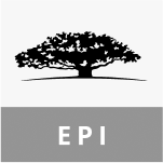 【2026 最全 EPI ETF投資指南】EPI 是什麼？成分股、回報率全解析，月供最強印度股市 ETF 手續費與派息攻略！