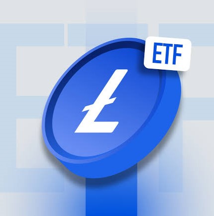 最全 LTC ETF投資指南2026！LTC ETF 是什麼？成分股真相、管理費解析！